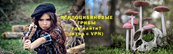 бошки Нязепетровск