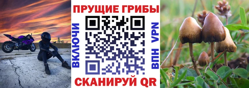 Галлюциногенные грибы MAGIC MUSHROOMS  Сосновка 